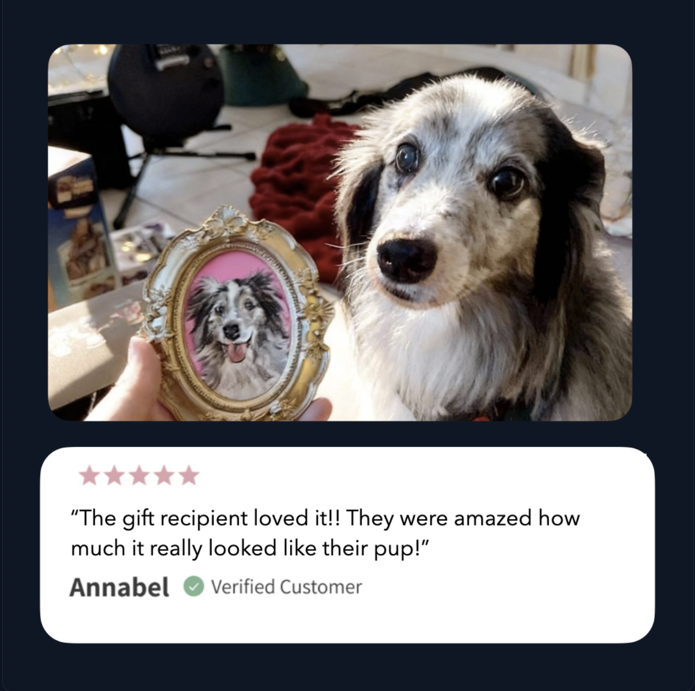 Master Design Pet Portrait