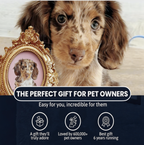 Master Design Pet Portrait - Fans Only Michelle pavlico