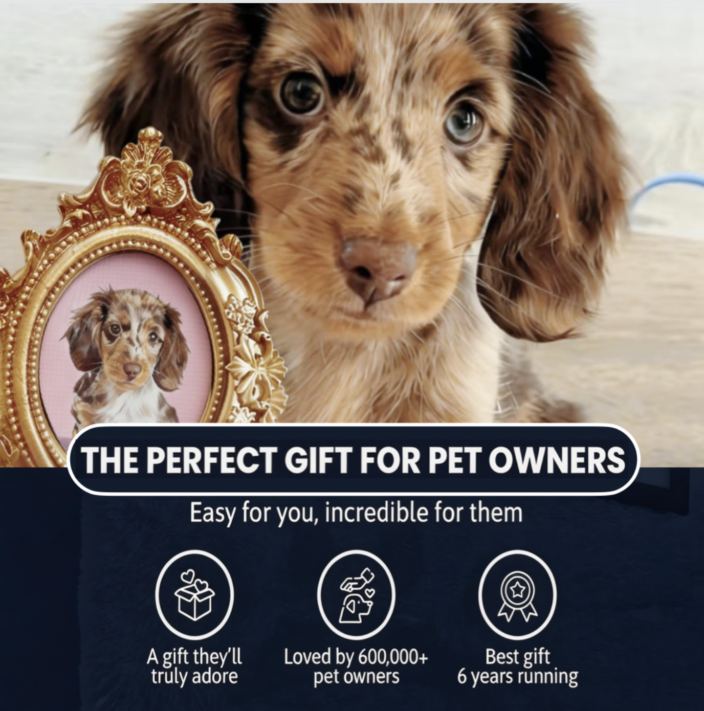 Master Design Pet Portrait - Fans Only Michelle pavlico