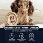 Master Design Pet Portrait for One Pet-White Frame