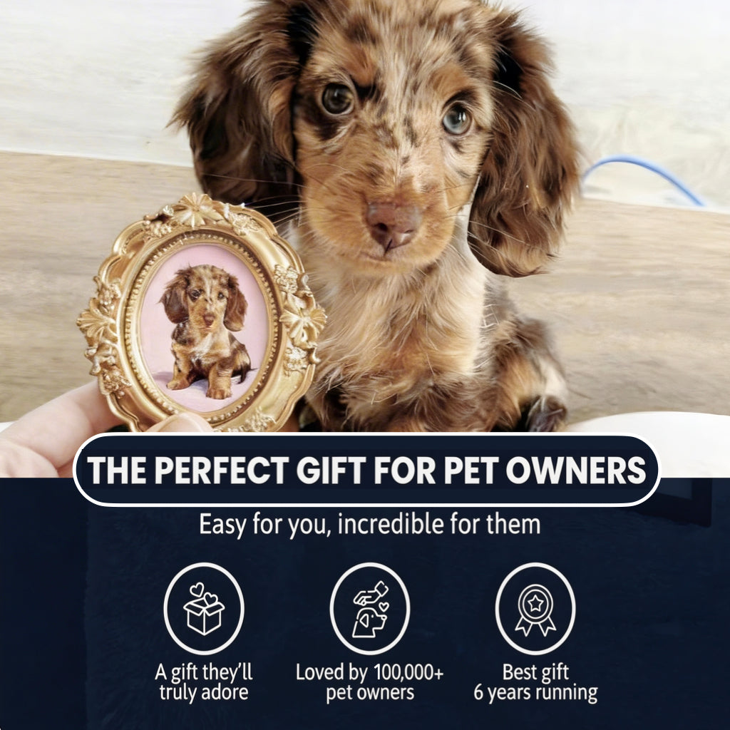 Master Design Pet Portrait for One Pet