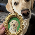 Dog looking at a gold-framed picture of itself on a green background