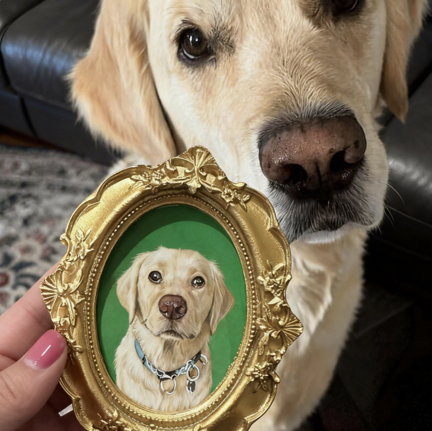 Dog looking at a gold-framed picture of itself on a green background