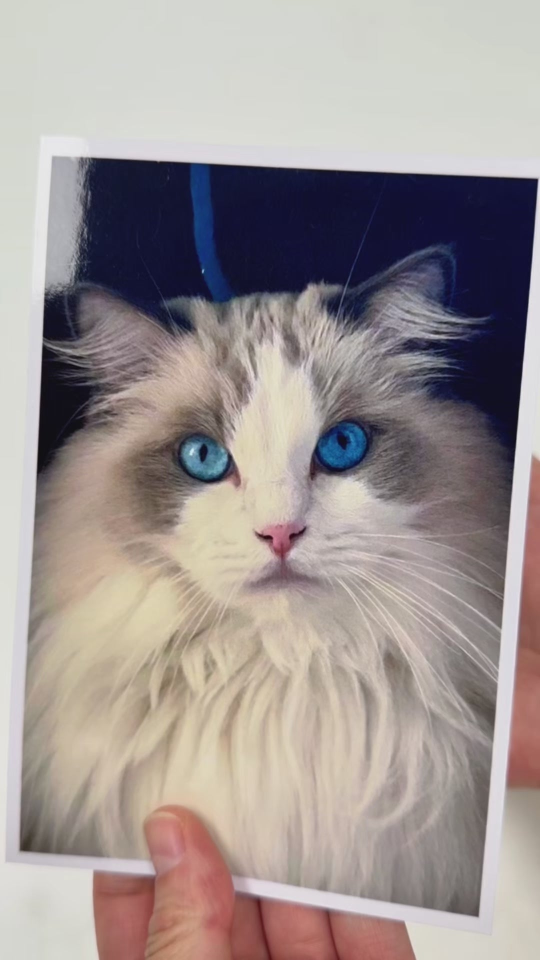 Grand Gallery Series: Personalized Pet Portraiture in Miniature