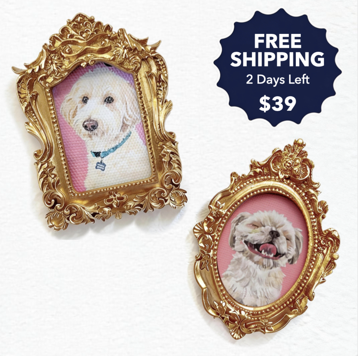 Master Design Pet Portrait