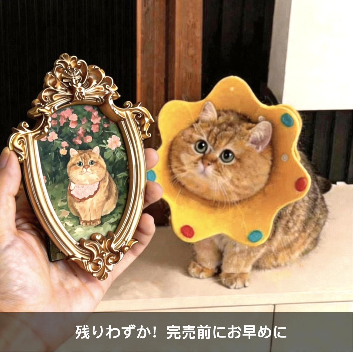 1匹用マスターデザイン・ペット肖像画